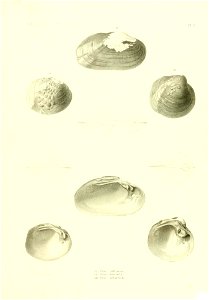 n476_w1150