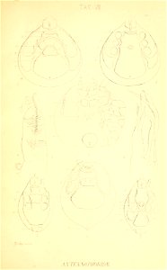 n182_w1150