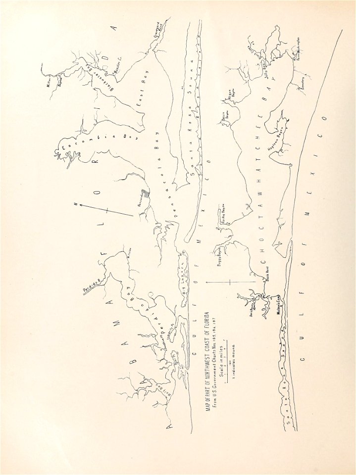 n439_w1150