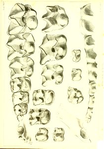 n528_w1150