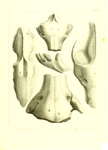n498_w1150