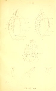 n180_w1150