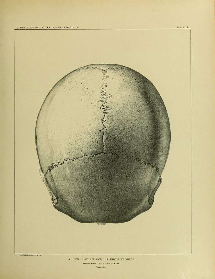 n652_w1150