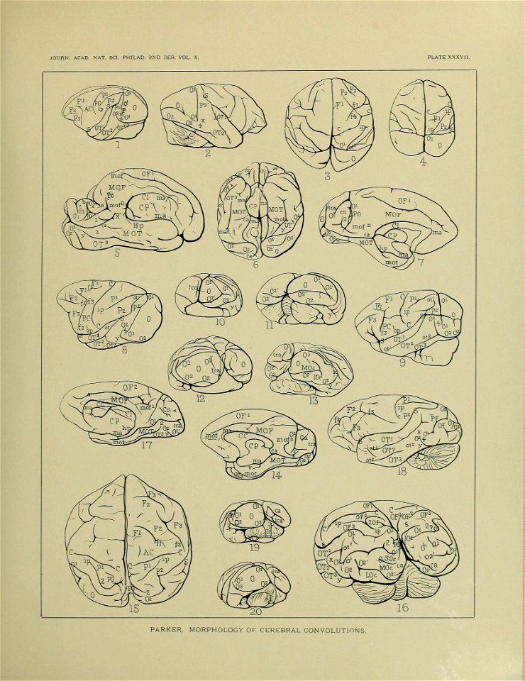 n622_w1150