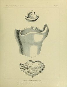 n562_w1150