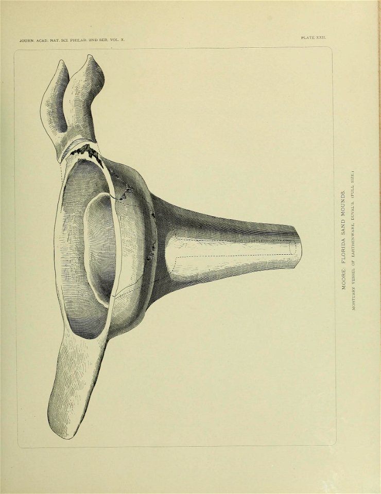 n592_w1150
