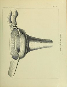 n592_w1150