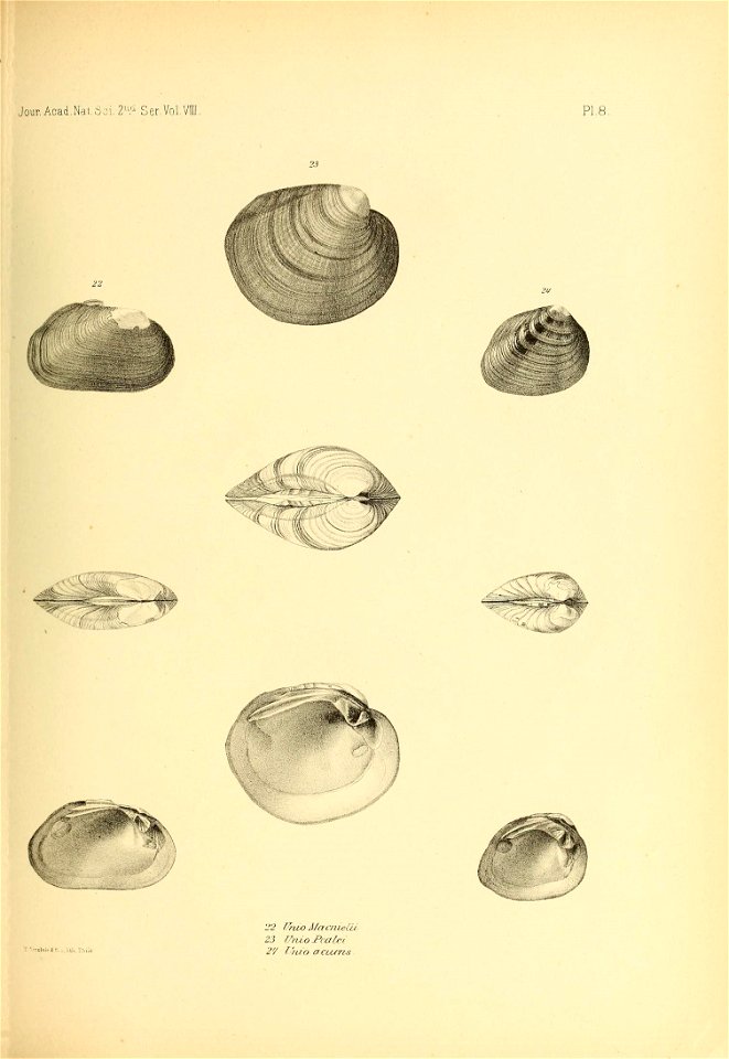 n478_w1150