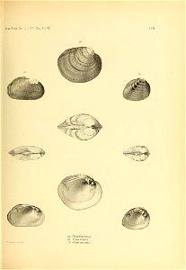 n478_w1150