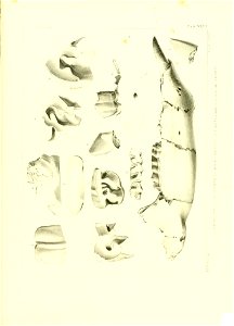 n526_w1150
