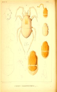 n153_w1150
