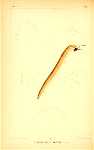 n85_w1150