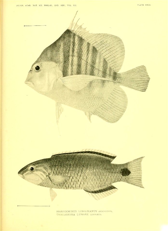 n632_w1150