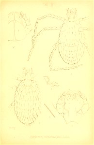 n184_w1150