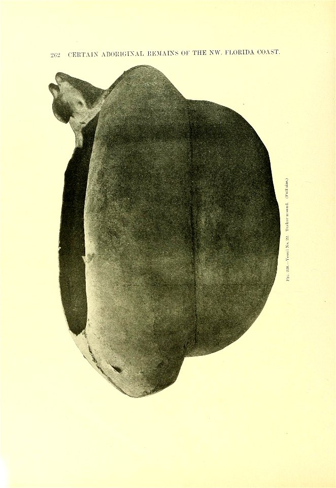 n275_w1150
