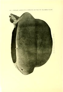 n275_w1150