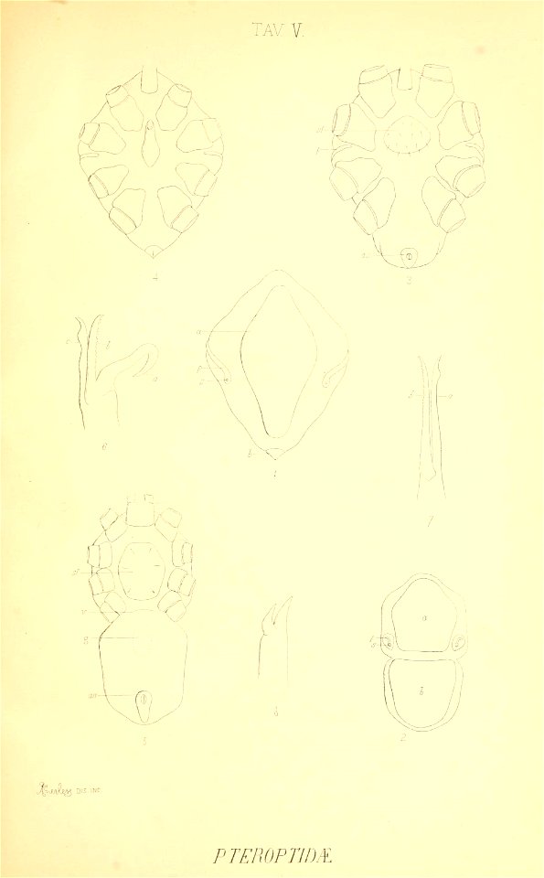 n178_w1150
