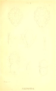 n178_w1150