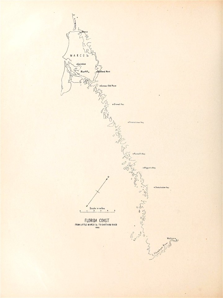 n387_w1150