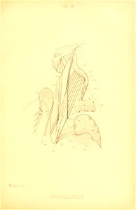 n182_w1150