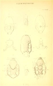n175_w1150