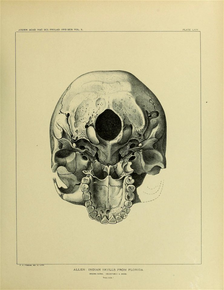 n678_w1150