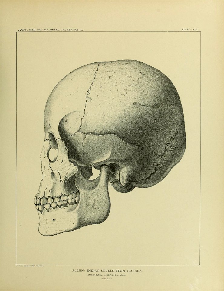 n676_w1150