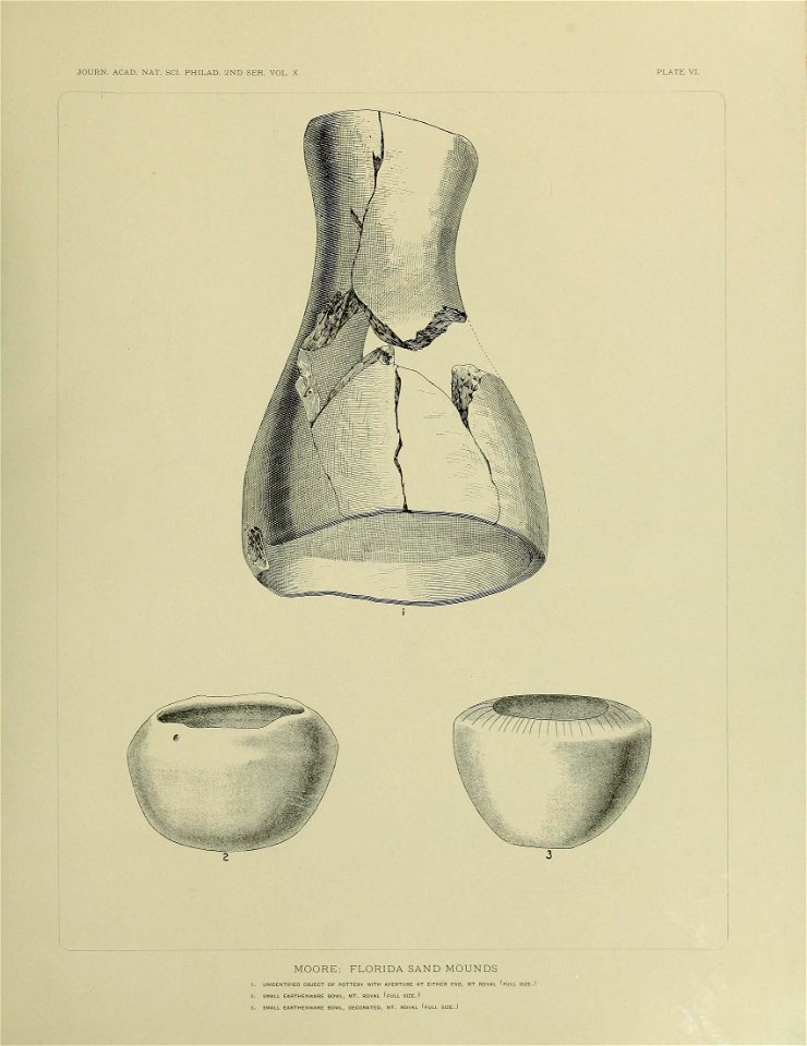 n556_w1150