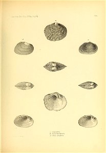 n472_w1150