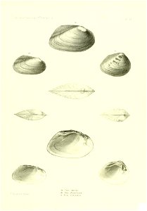 n448_w1150