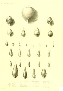 n418_w1150