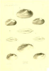 n388_w1150