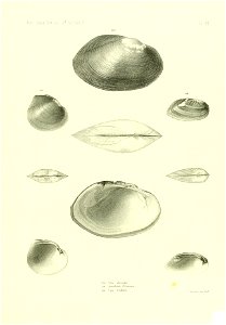 n566_w1150