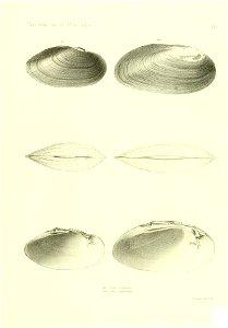 n536_w1150