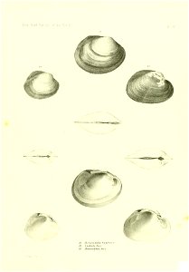 n446_w1150