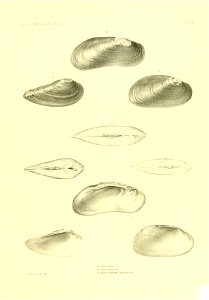 n416_w1150