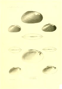 n386_w1150