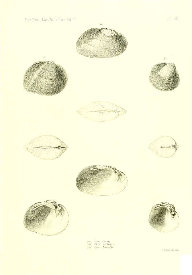 n534_w1150