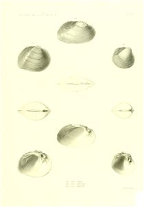 n534_w1150