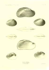 n504_w1150