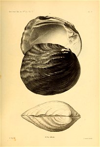 n436_w1150