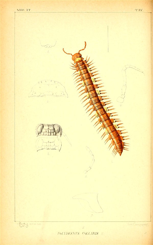 n133_w1150