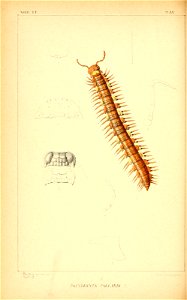 n133_w1150
