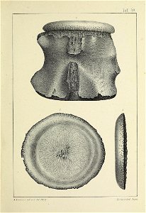 n202_w1150