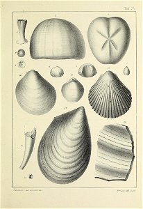 n142_w1150
