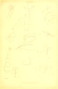 n176_w1150