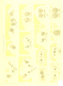 n590_w1150