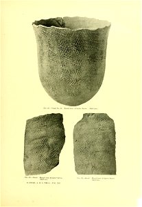 n166_w1150
