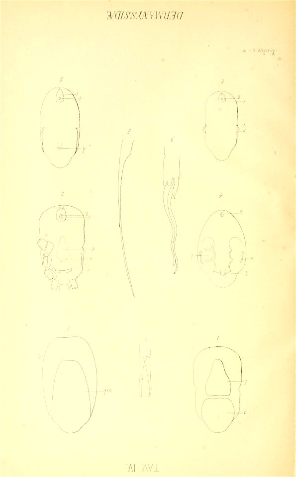 n169_w1150