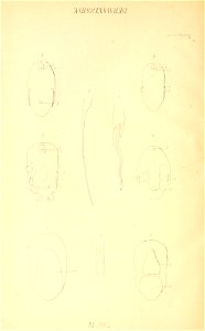 n169_w1150